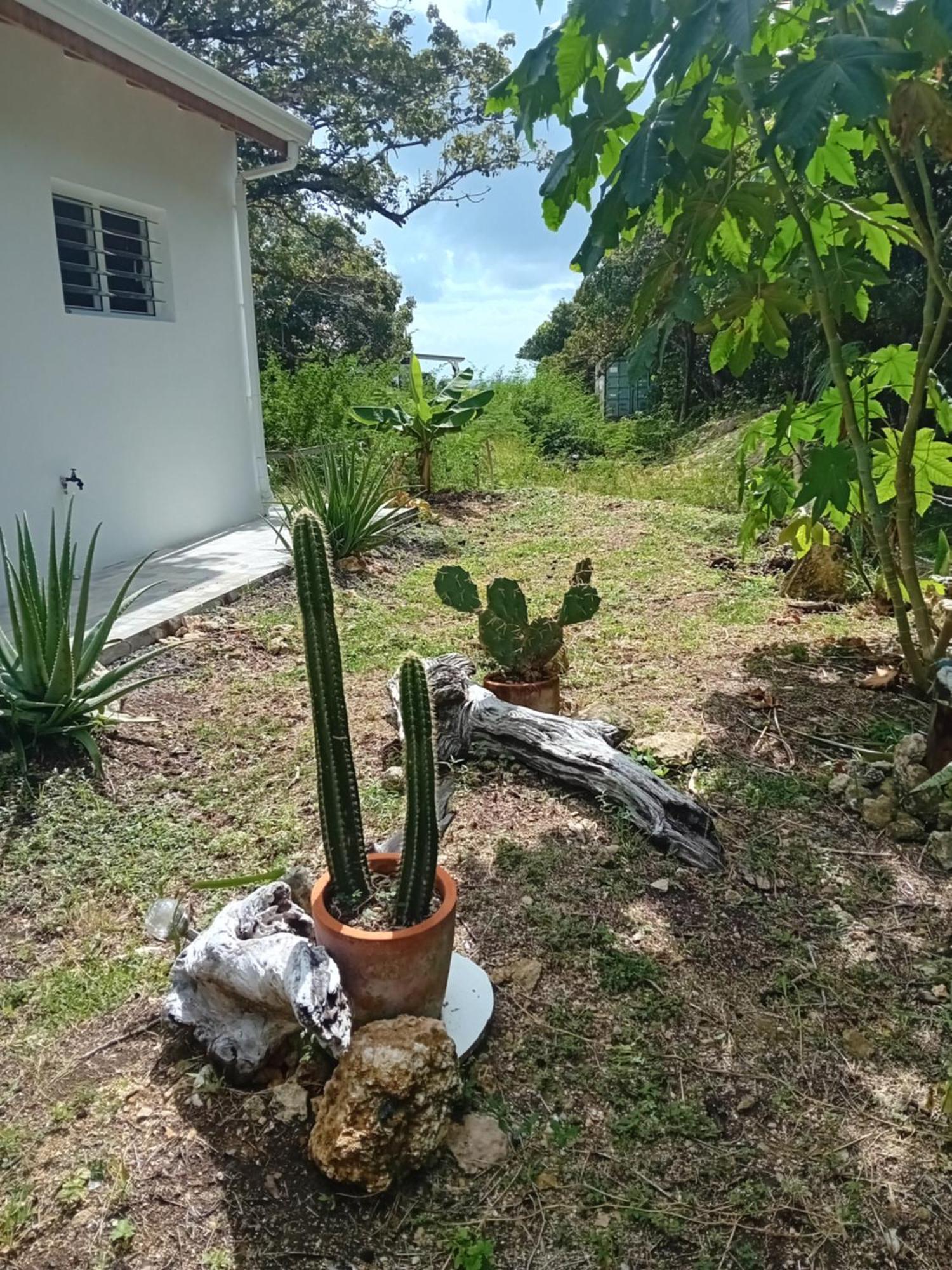 Kazacactus-Villa 3 Chambres Piscine Marie-Galante Beauséjour Екстериор снимка